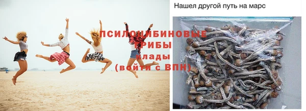 мдпв Арсеньев
