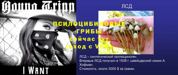 mdma Протвино