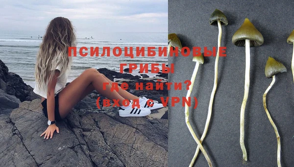 мяу мяу мука Армянск