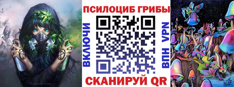 Галлюциногенные грибы Psilocybine cubensis  где можно купить   Скопин 