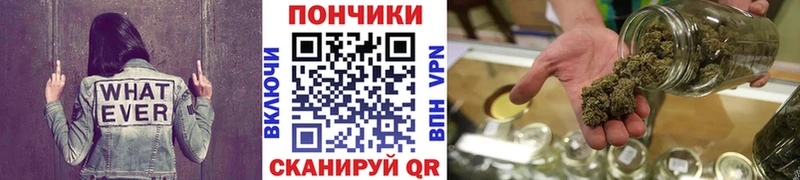 Бошки марихуана сатива  Скопин 